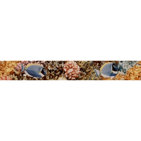 Бордюр «Reef» 4.5х30 см цвет