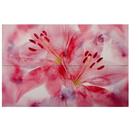Панно «Lily» 60х40 см цвет